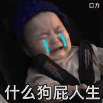 暴躁老娘动态表情包-37-