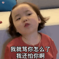 暴躁老娘动态表情包-45-