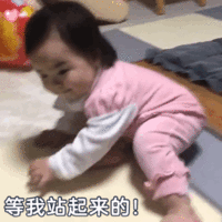 暴躁老娘动态表情包-55-