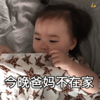 暴躁老娘动态表情包-78-