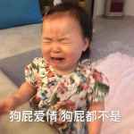 暴躁老娘动态表情包-79-