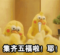 鹦鹉兄弟集五福表情包-集齐五福啦-