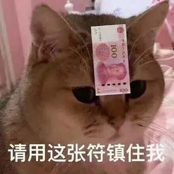 春节要红包表情包6 -