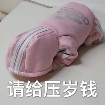 春节要红包表情包10-