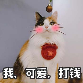 春节要红包表情包15-