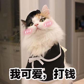 春节要红包表情包16-