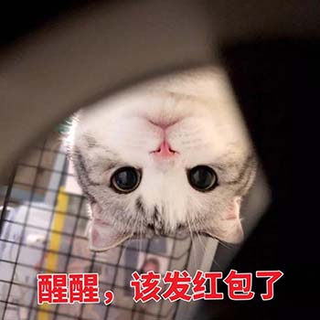 春节要红包表情包17-