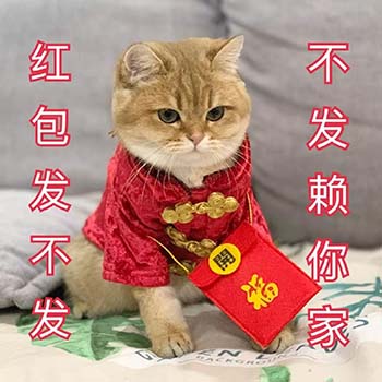 春节要红包表情包18-