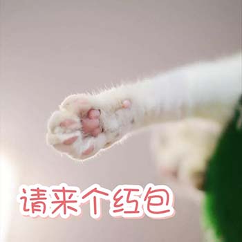 春节要红包表情包19-