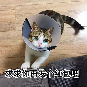 春节要红包表情包20-