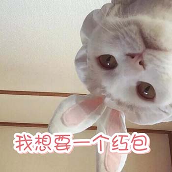 春节要红包表情包21-