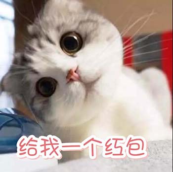 春节要红包表情包22-