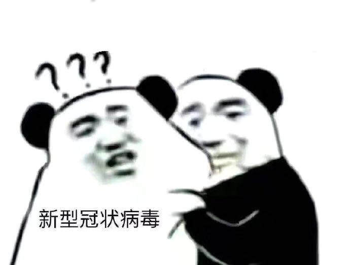 熊猫头质问病毒我要xx-1