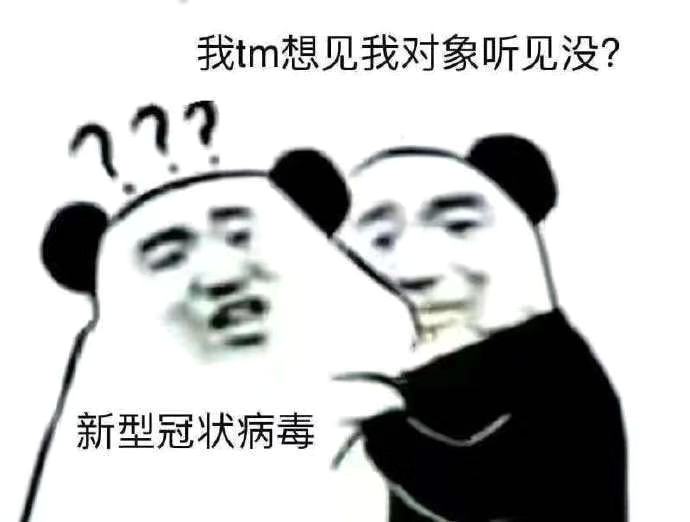 熊猫头质问病毒我要xx-3