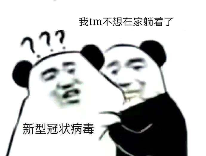 熊猫头质问病毒我要xx-5