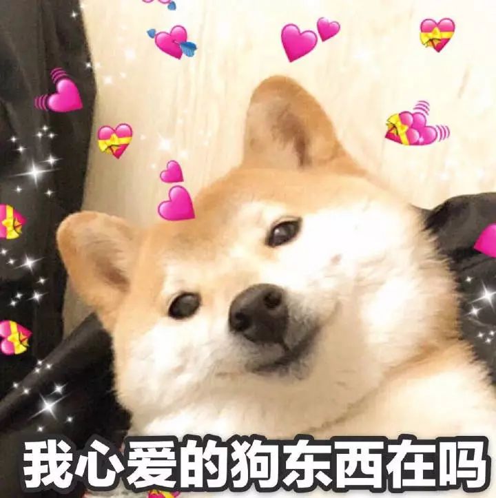 2020情人节表情包-31-