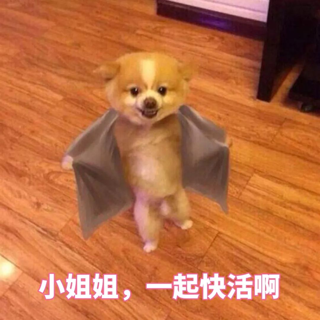 2020情人节表情包-33-