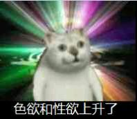 憨憨猫表情包-2 -
