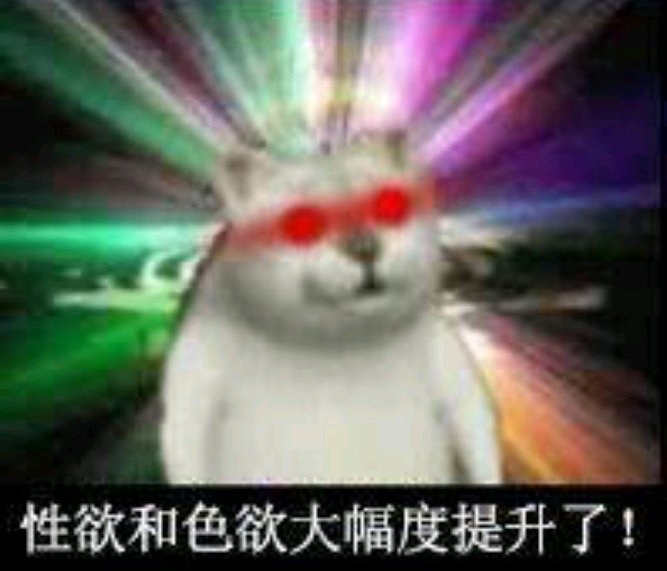 憨憨猫表情包-3 