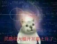 憨憨猫表情包-25
