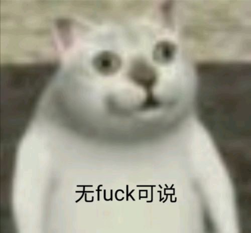 憨憨猫表情包-26