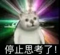 憨憨猫表情包-28