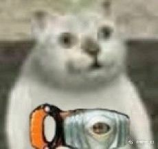 憨憨猫表情包-32