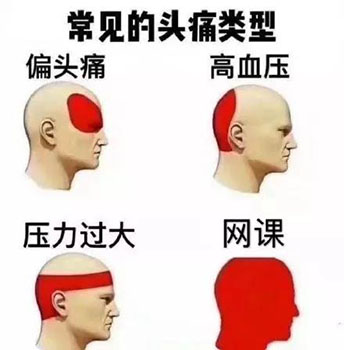 2020上网课表情包-1 -