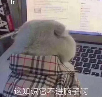 2020上网课表情包-6 -