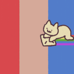 可爱猫咪动图小表情-4 -