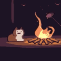 可爱猫咪动图小表情-16-