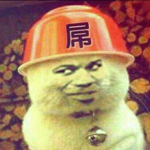 真人猥琐猫合集表情-3  
