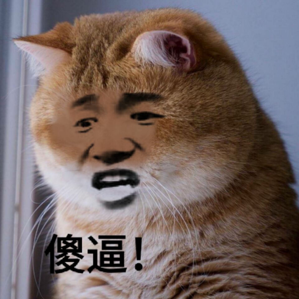 真人猥琐猫合集表情-11 
