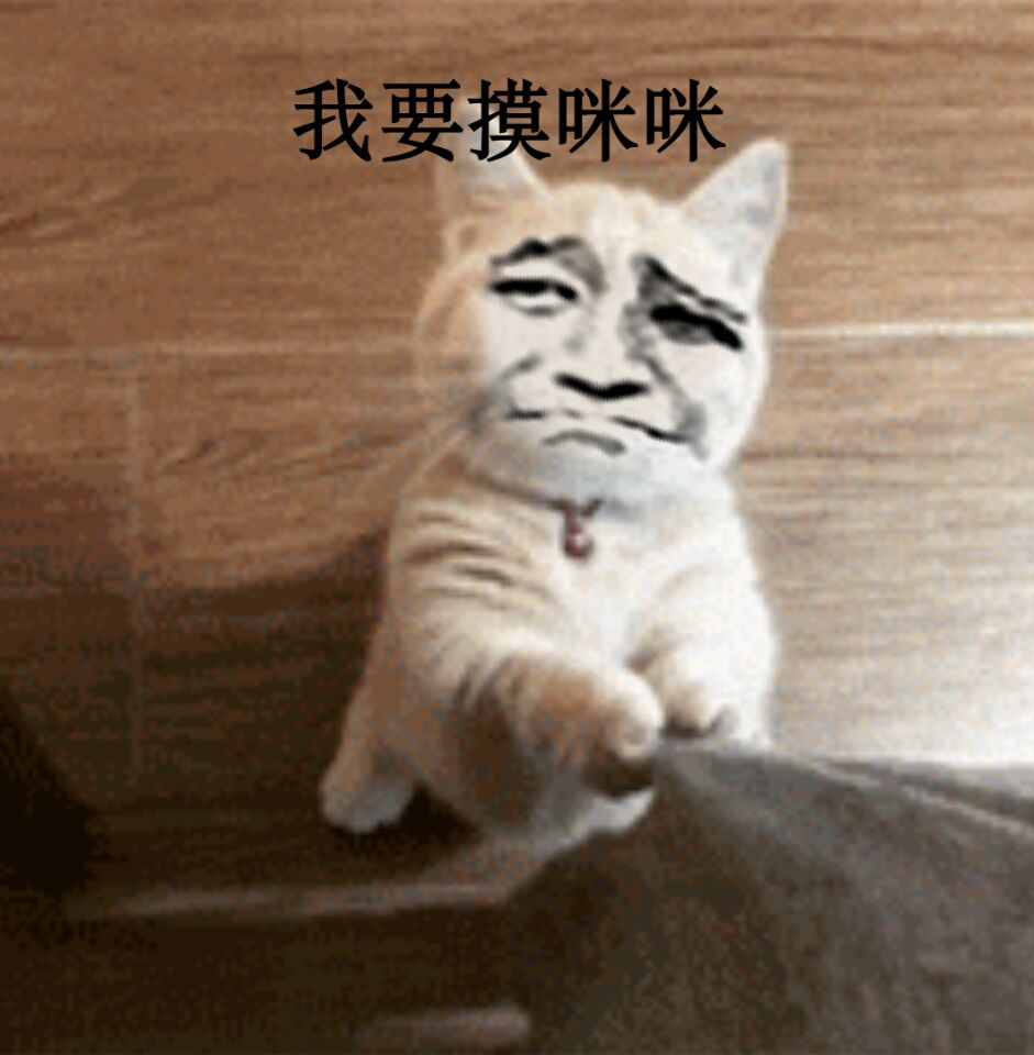 真人猥琐猫合集表情-28 