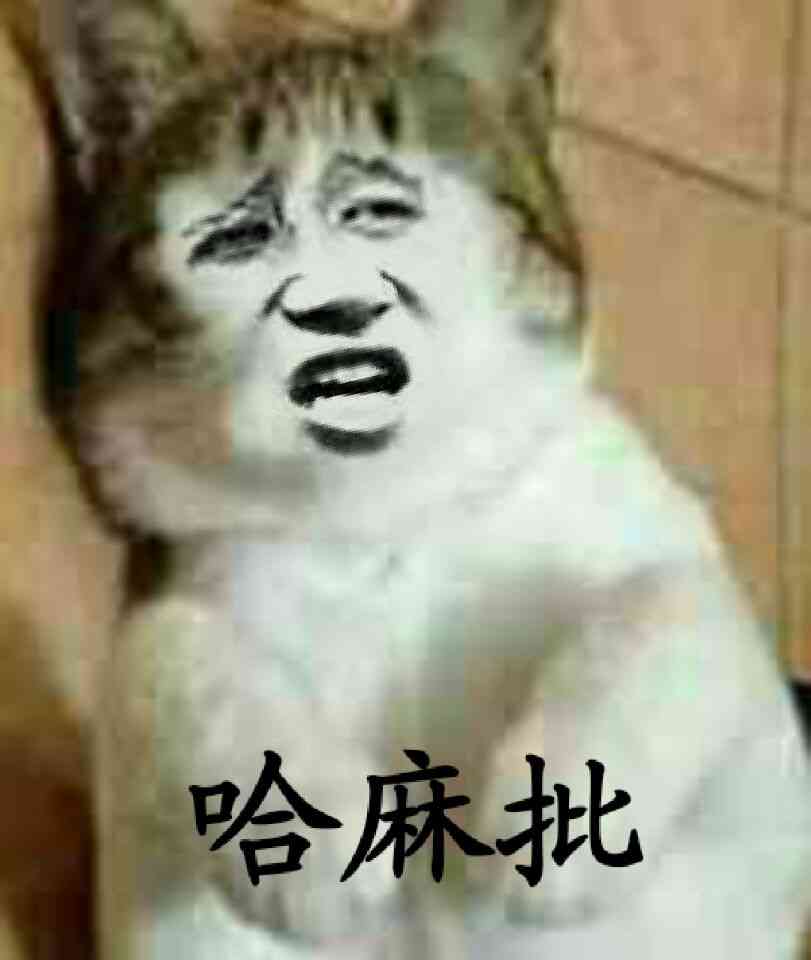 真人猥琐猫合集表情-34 -