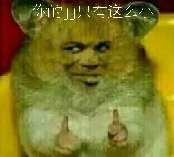真人猥琐猫合集表情-41 -