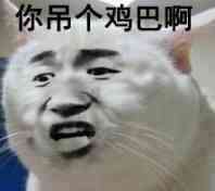 真人猥琐猫合集表情-46 -