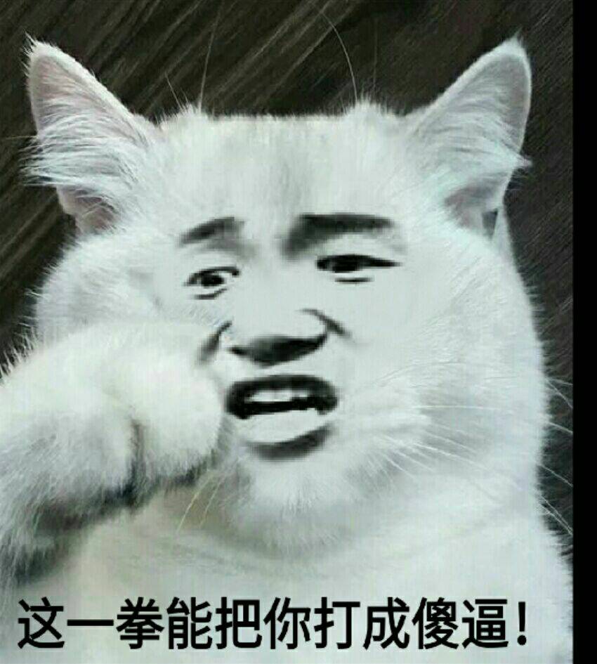 真人猥琐猫合集表情-49 -