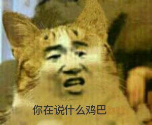 真人猥琐猫合集表情-55 -