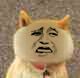 真人猥琐猫合集表情-57 -