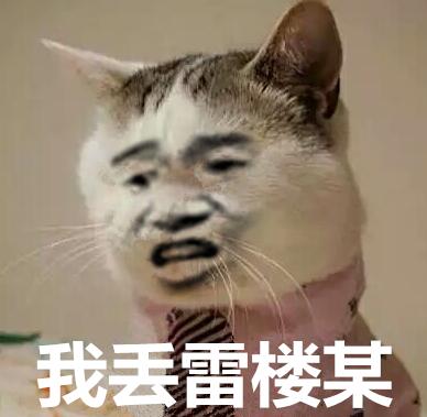 真人猥琐猫合集表情-63 -