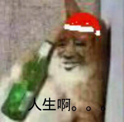 真人猥琐猫合集表情-68 -