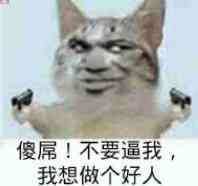真人猥琐猫合集表情-71 -