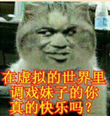 真人猥琐猫合集表情-77 -