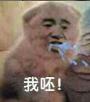 真人猥琐猫合集表情-85 -