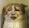 真人猥琐猫合集表情-87 -