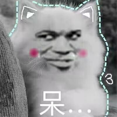 真人猥琐猫合集表情-100