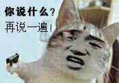 真人猥琐猫合集表情-102-