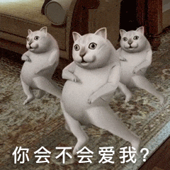 憨憨猫蔡徐坤恶搞动图表情-2 -