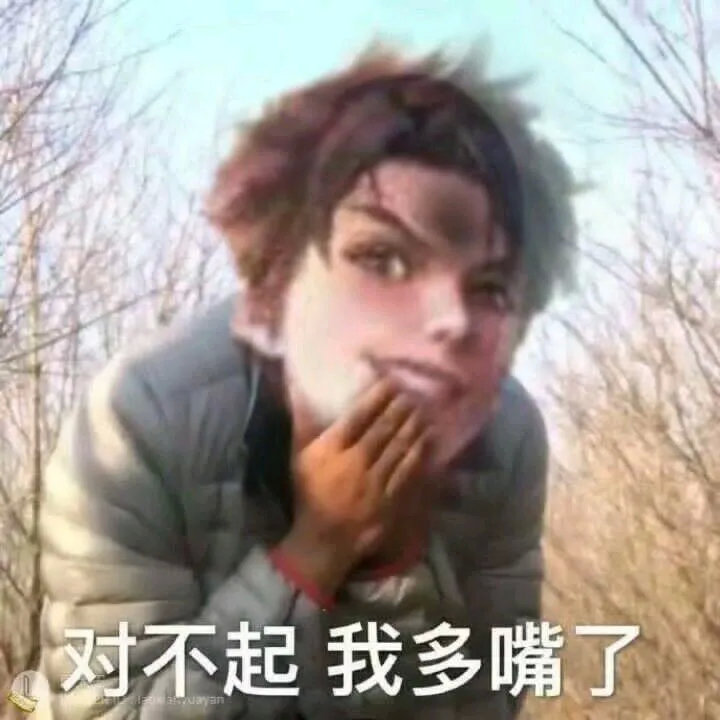 王者荣耀-曜表情包-对不起，我多嘴了
